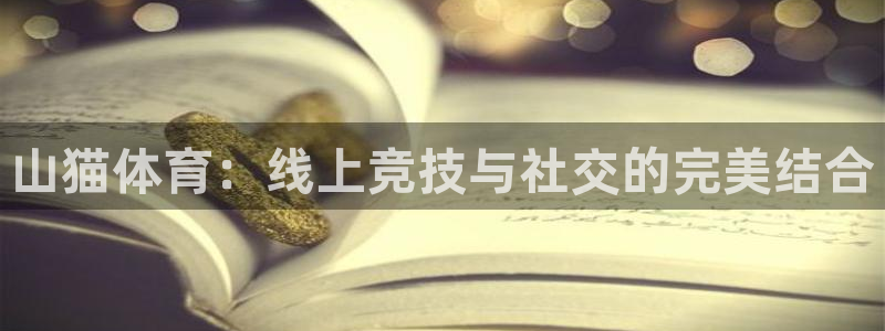 壹号电子娱乐app下载最新版本安装