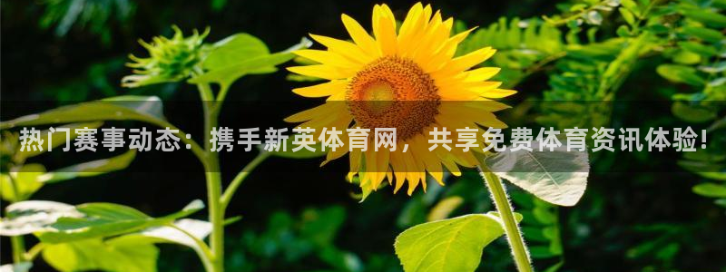 摩根娱乐网站平台