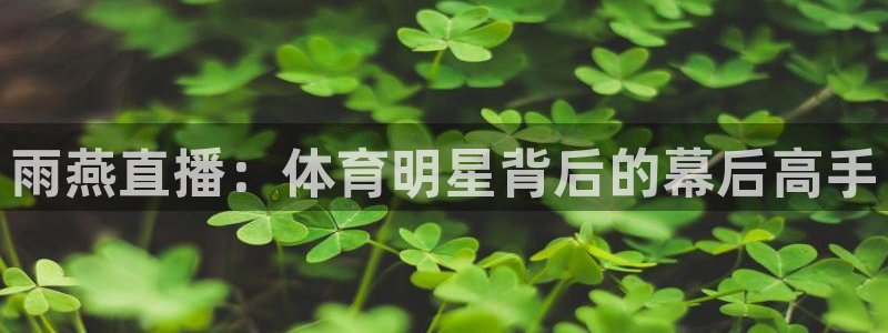 摩根娱乐电子游戏官网